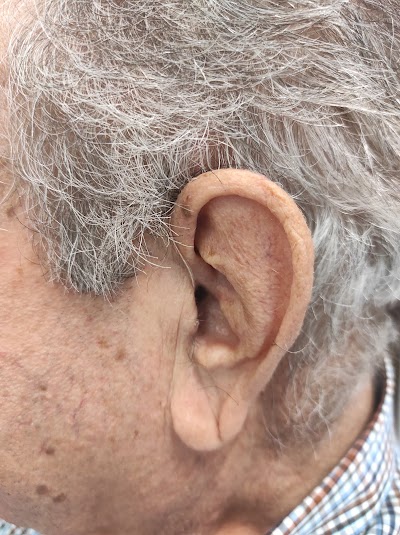 Audiocalia